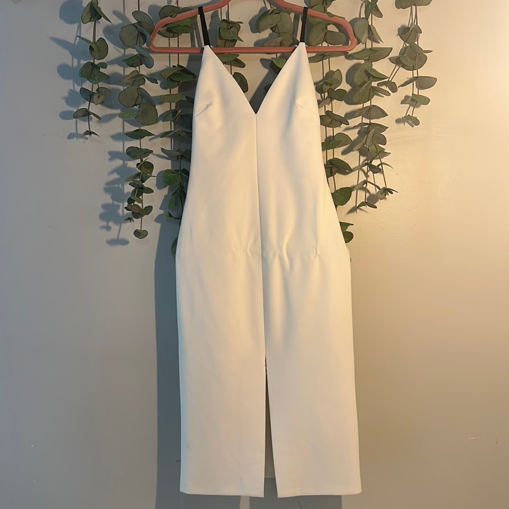 Sexy Alice + Olivia Slip Dress